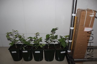 IMG_7759.JPG
