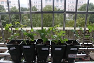 IMG_7763.JPG