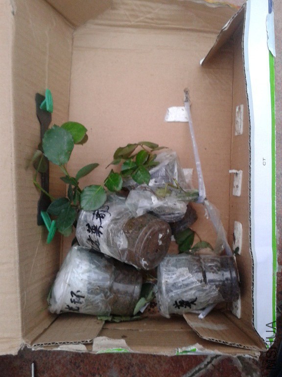 20150316_180358.jpg