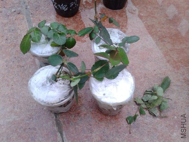20150316_181540.jpg
