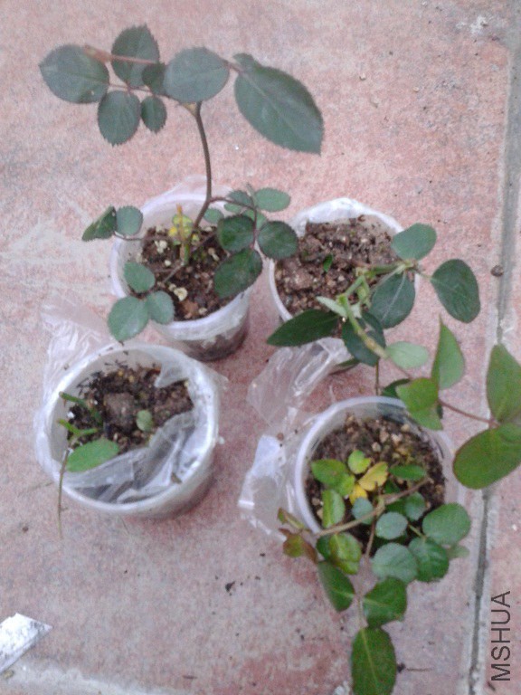 20150316_182020.jpg