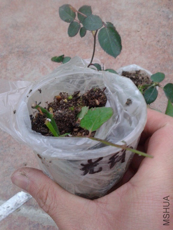 20150316_182037.jpg