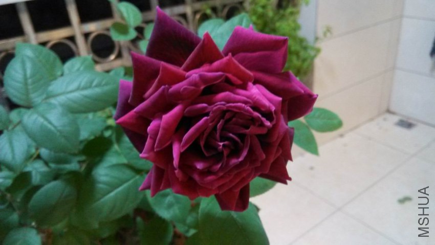������С IMG_20150316_194123.jpg