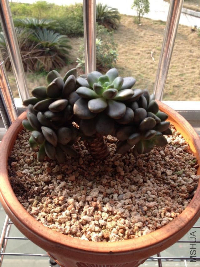 QQͼƬ20140424012142.jpg