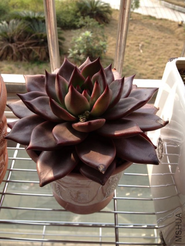 QQͼƬ20140424012200.jpg