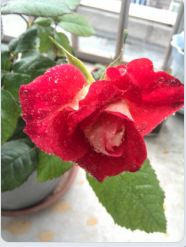 QQ��ͼ20150317094133.png