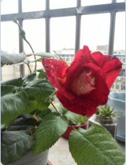 QQ��ͼ20150317094154.png