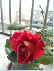 QQ��ͼ20150317094225.png
