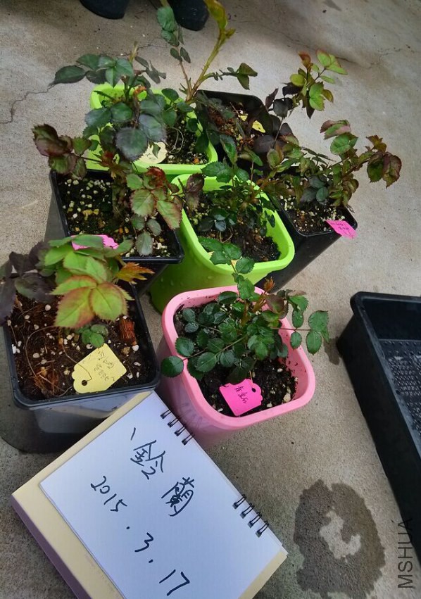 ��2.jpg