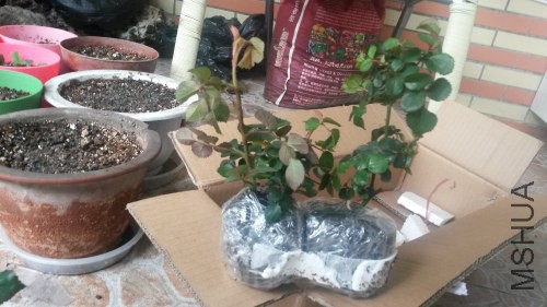 20150316_152213.jpg