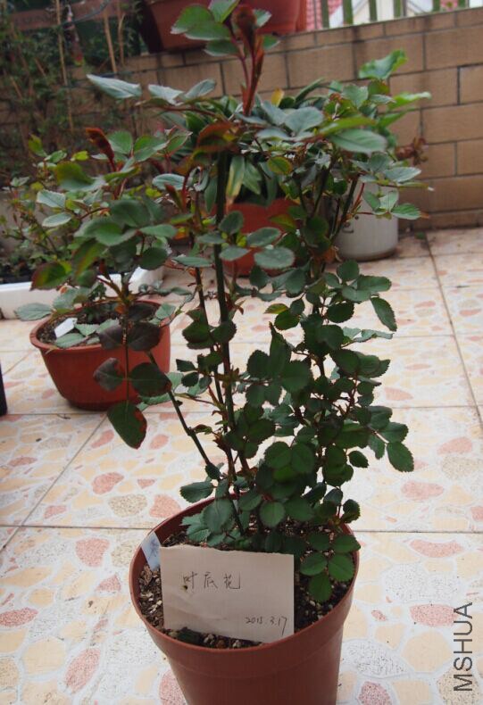 QQͼƬ20150317102825.jpg
