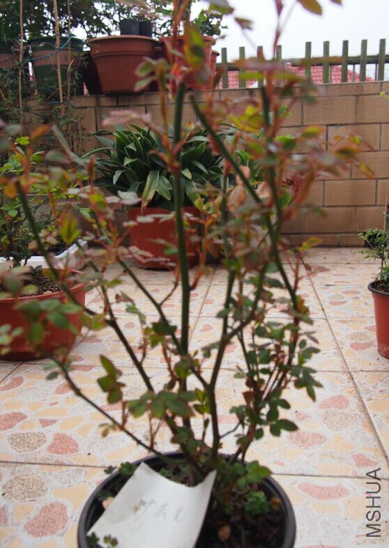 QQͼƬ20150317103103.jpg