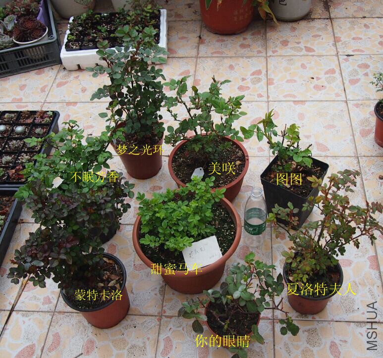 QQͼƬ20150317102554.jpg