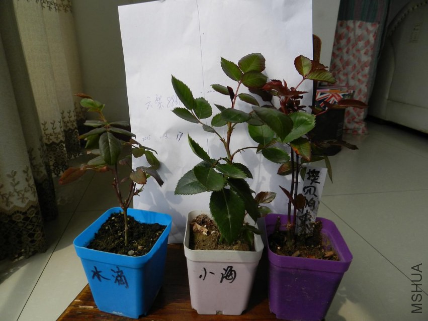 DSCN2072.jpg
