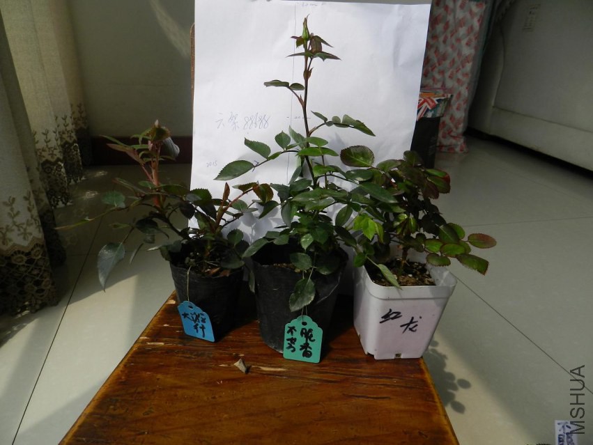 DSCN2073.jpg