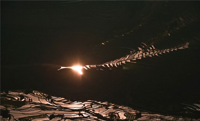 Ԫ������ (10).jpg