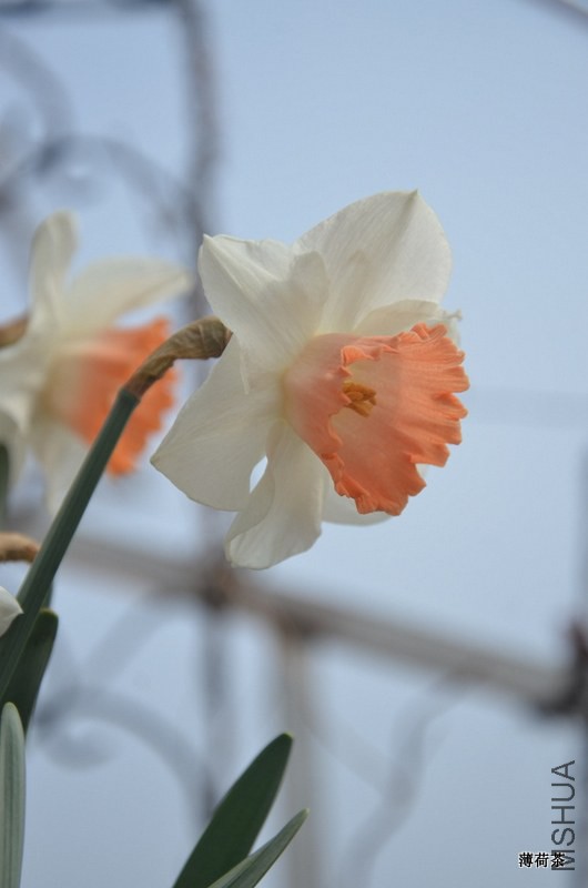 DSC_3936.JPG