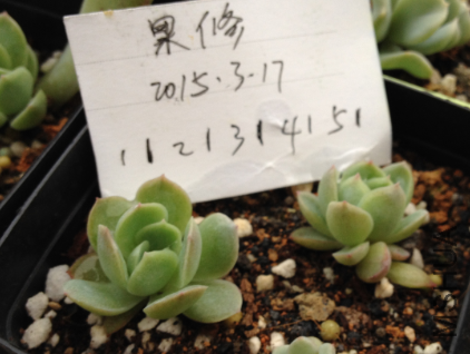QQͼƬ20150317171245.png