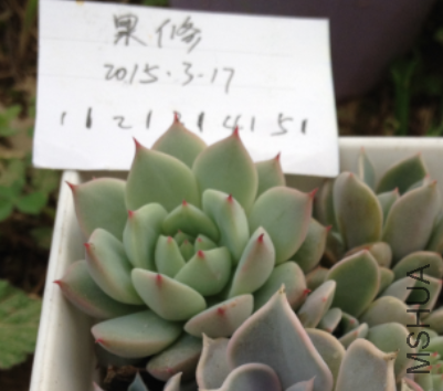 QQͼƬ20150317171648.png