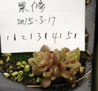 QQͼƬ20150317171522.png