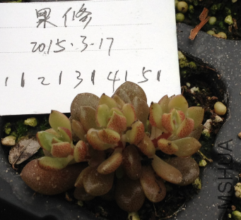 QQͼƬ20150317171516.png