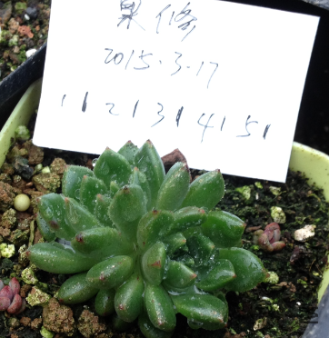 QQͼƬ20150317171856.png