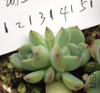 QQͼƬ20150317172138.png