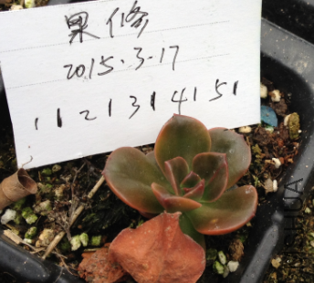 QQͼƬ20150317171456.png