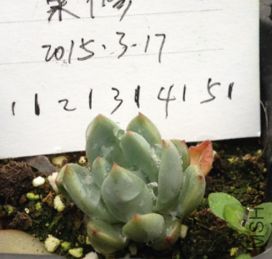 QQͼƬ20150317172258.png
