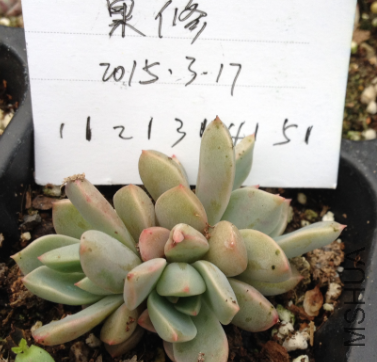QQͼƬ20150317172402.png