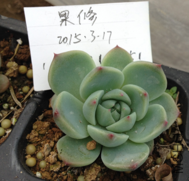 QQͼƬ20150317171446.png