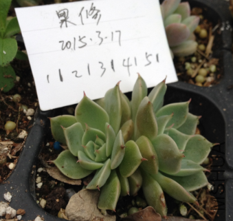 QQͼƬ20150317171443.png