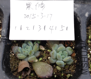 QQͼƬ20150317171441.png