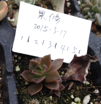 QQͼƬ20150317171438.png