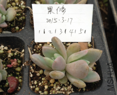 QQͼƬ20150317171426.png