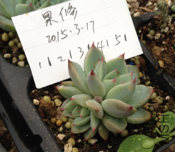 QQͼƬ20150317171423.png