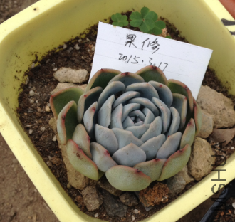 QQͼƬ20150317171420.png