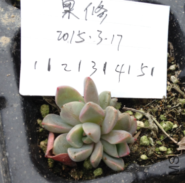 QQͼƬ20150317171417.png
