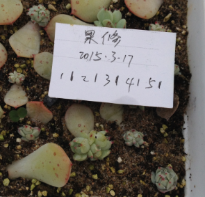 QQͼƬ20150317172850.png