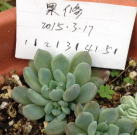 QQͼƬ20150317172950.png