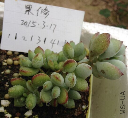QQͼƬ20150317171356.jpg