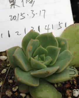 QQͼƬ20150317173127.png