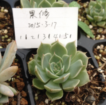 QQͼƬ20150317171347.png
