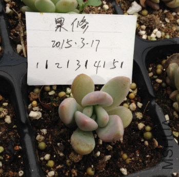 QQͼƬ20150317171344.png