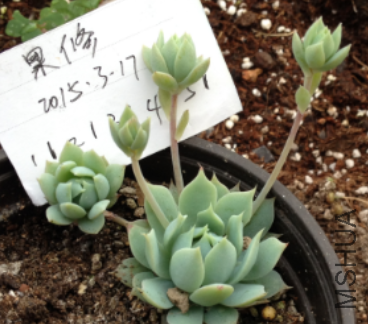 QQͼƬ20150317173310.png