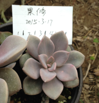 QQͼƬ20150317171321.png