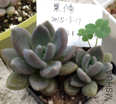 QQͼƬ20150317173347.png