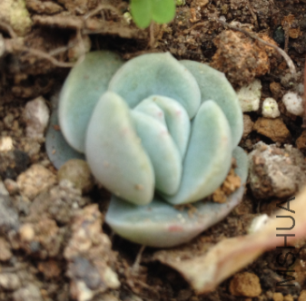 QQͼƬ20150317171303.png