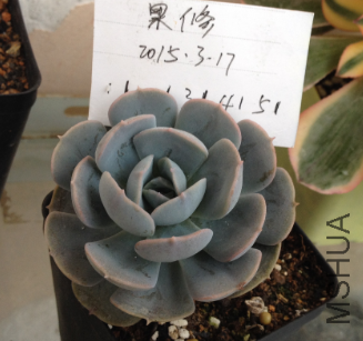 QQͼƬ20150317173449.png