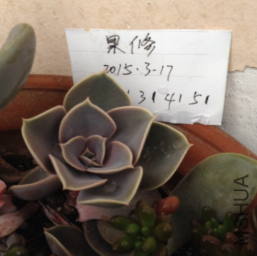 QQͼƬ20150317171254.png